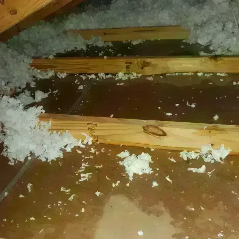 Attic Water Damage in Bandera, TX